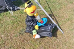IMG_20240501_112706